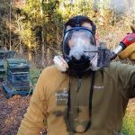 Lösungen zur Bekämpfung der Varroa-Milbe